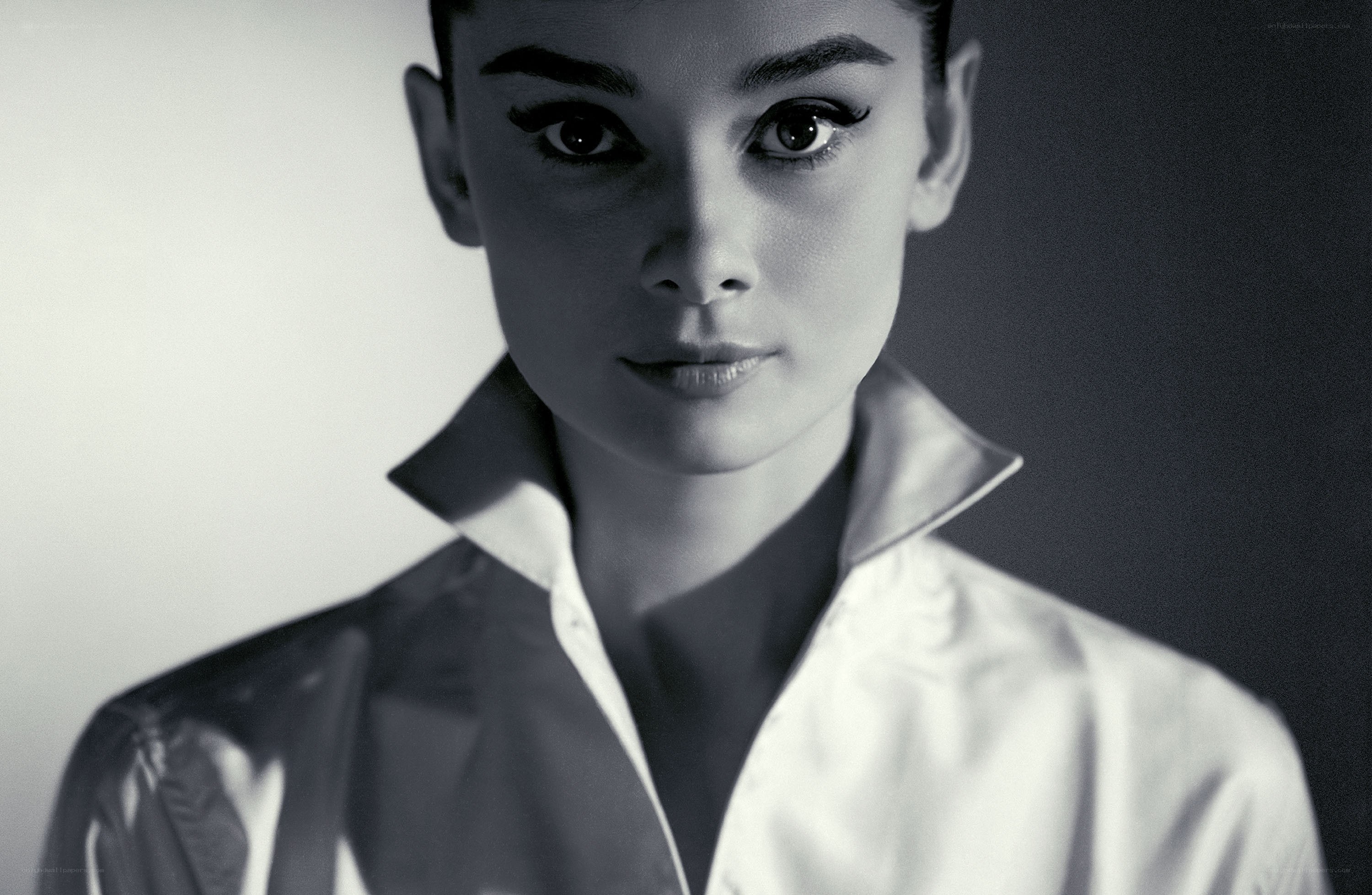 Audrey Hepburn portrait