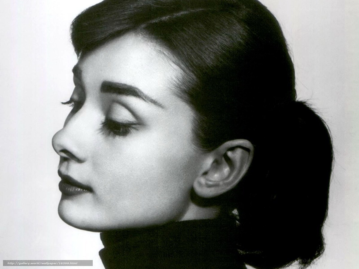 Audrey Hepburn profile portrait
