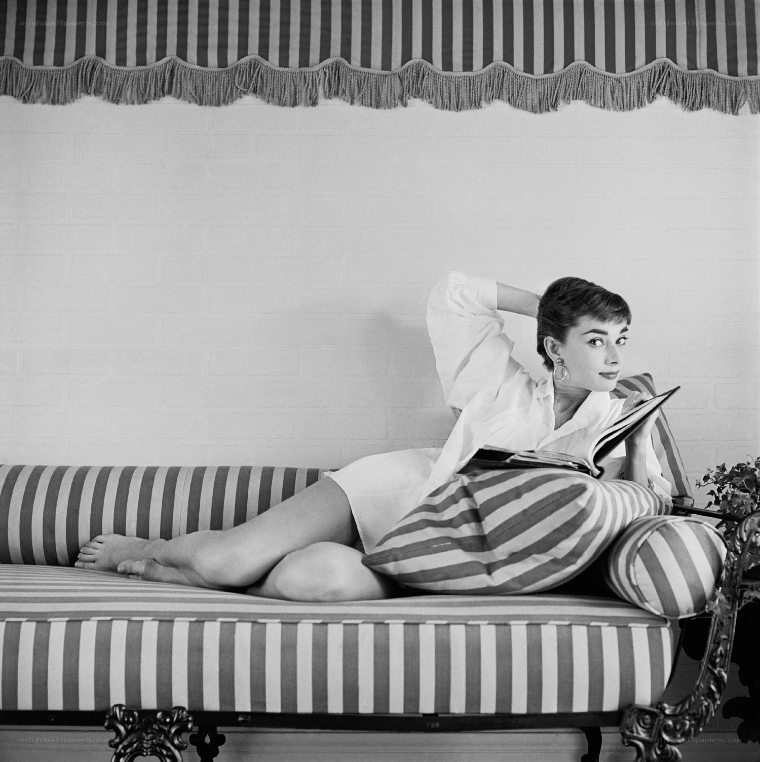 Audrey Hepburn reading on a chaise