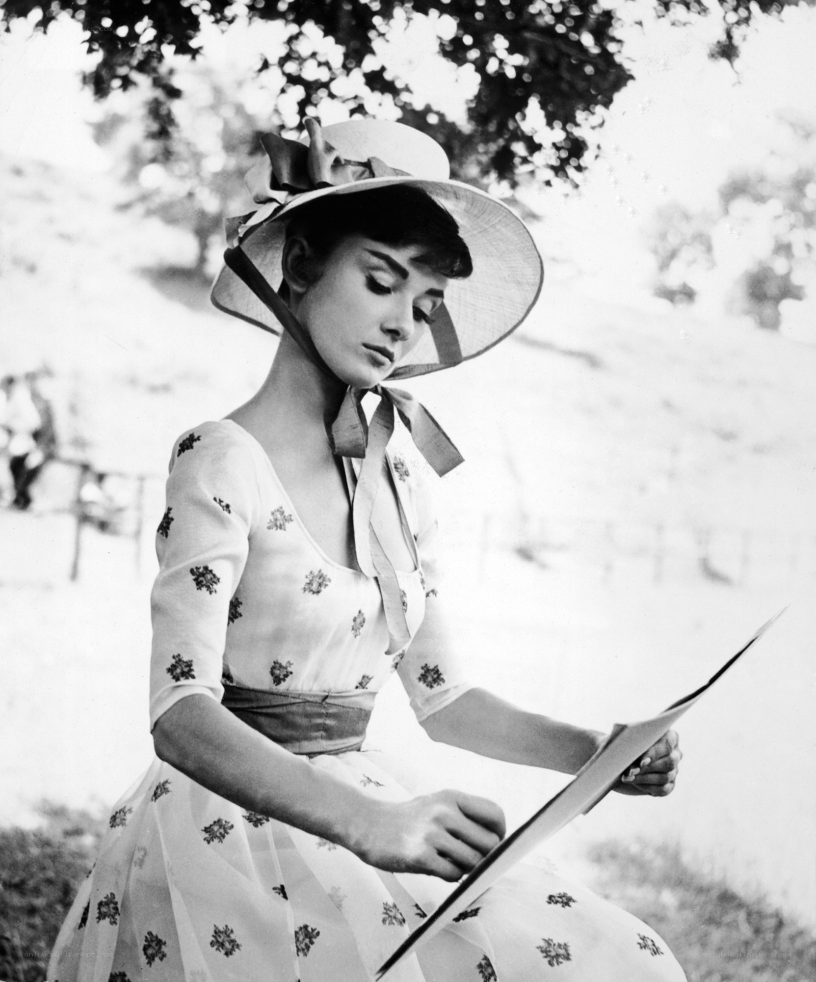 Audrey Hepburn reading outdoors