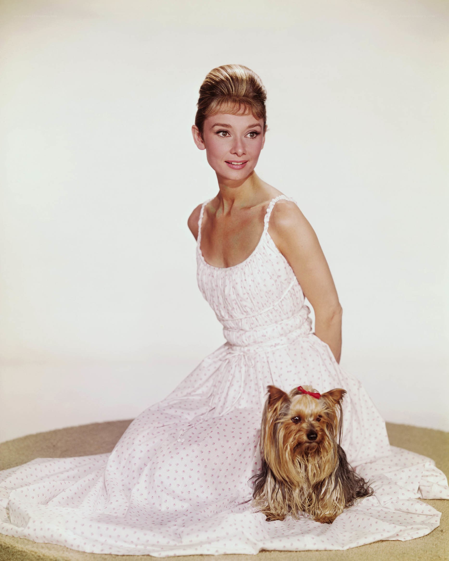 Audrey Hepburn with a dog