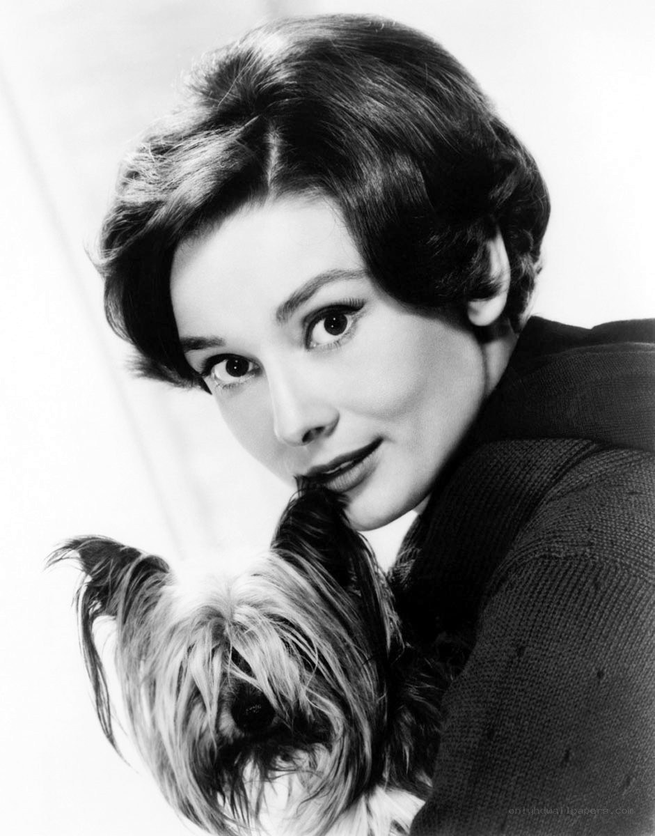 Audrey Hepburn with a dog
