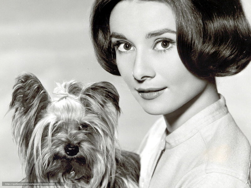 Audrey Hepburn with a dog