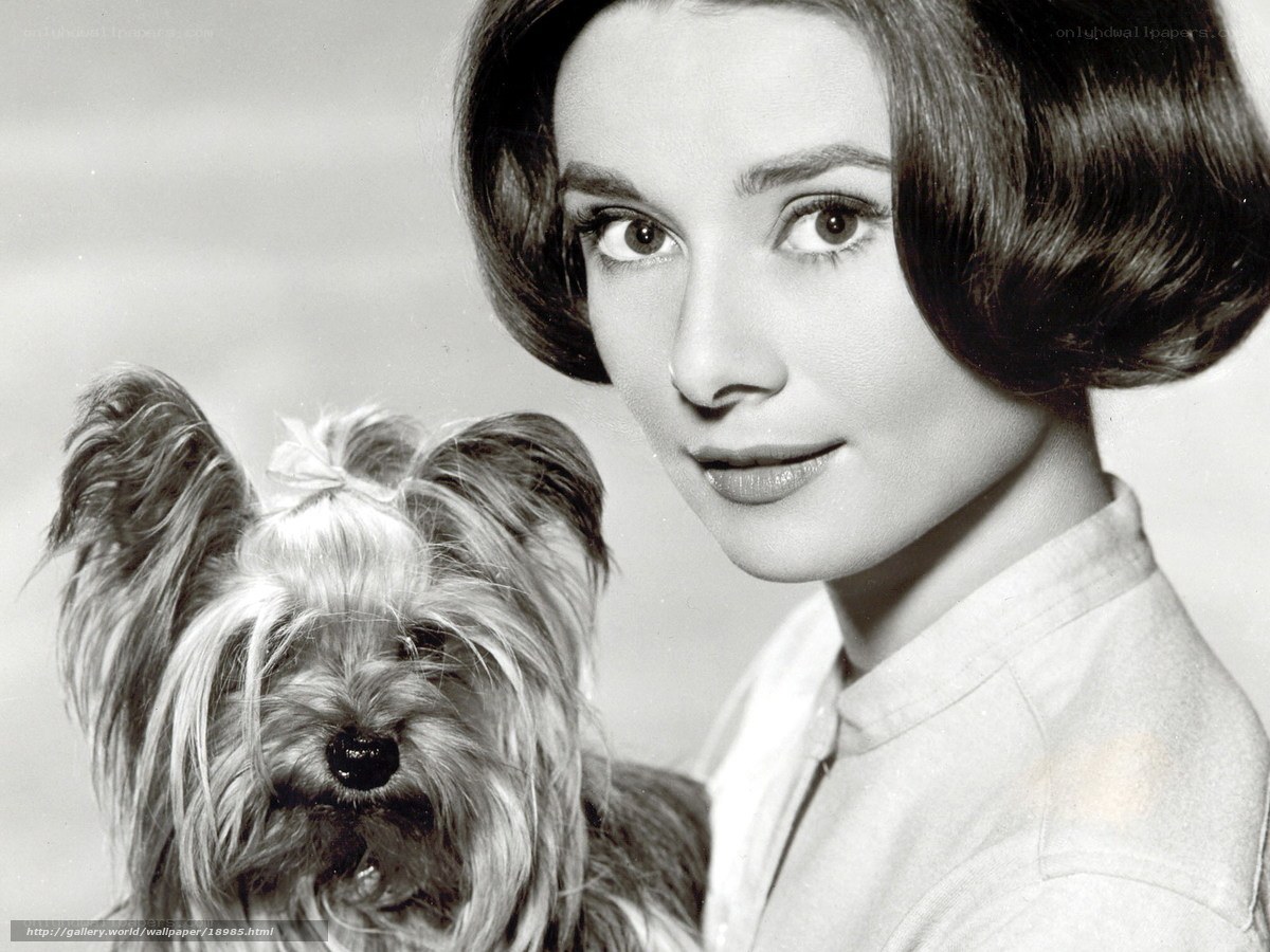 Audrey Hepburn with a dog