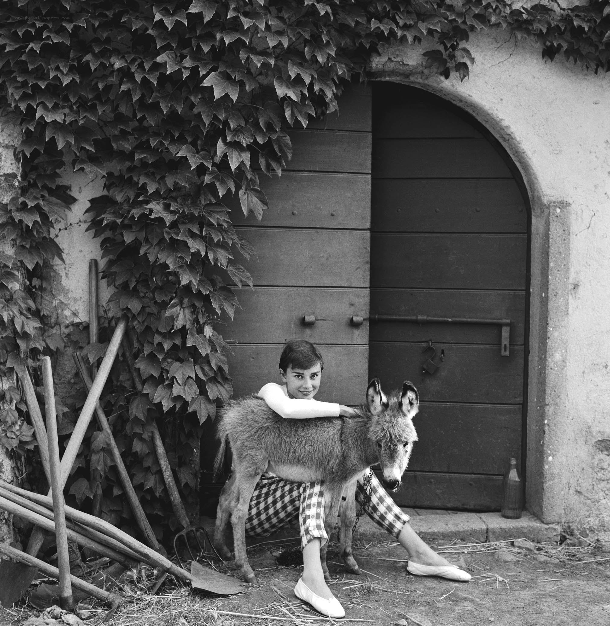 Audrey Hepburn with a donkey