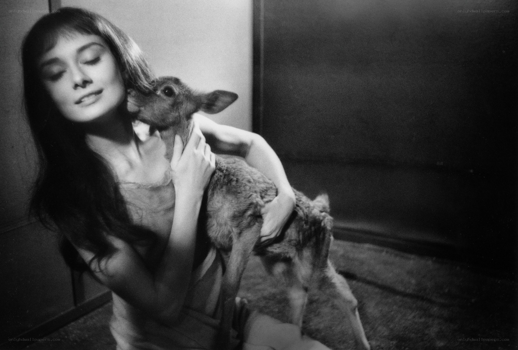 Audrey Hepburn with a fawn