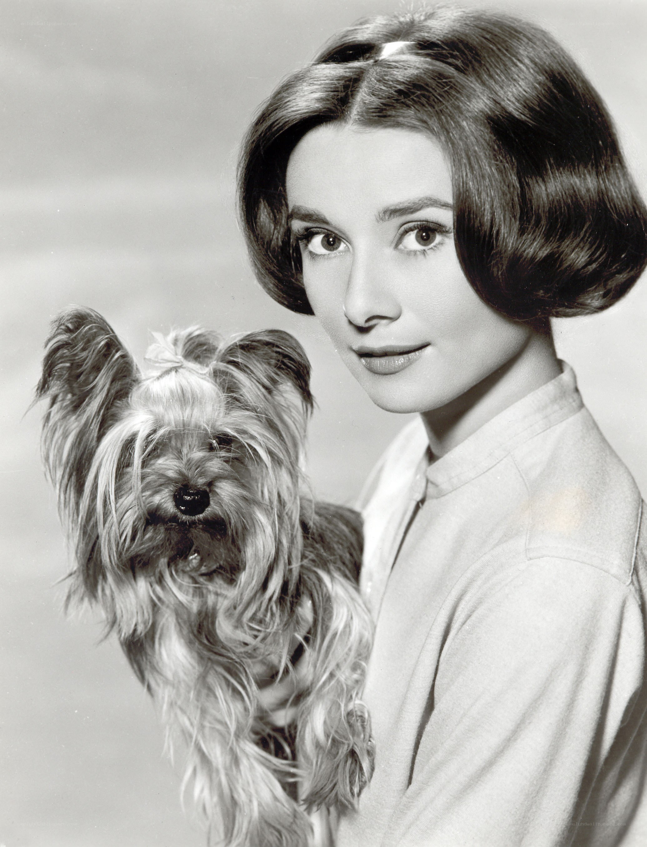 Audrey Hepburn with a Yorkshire Terrier
