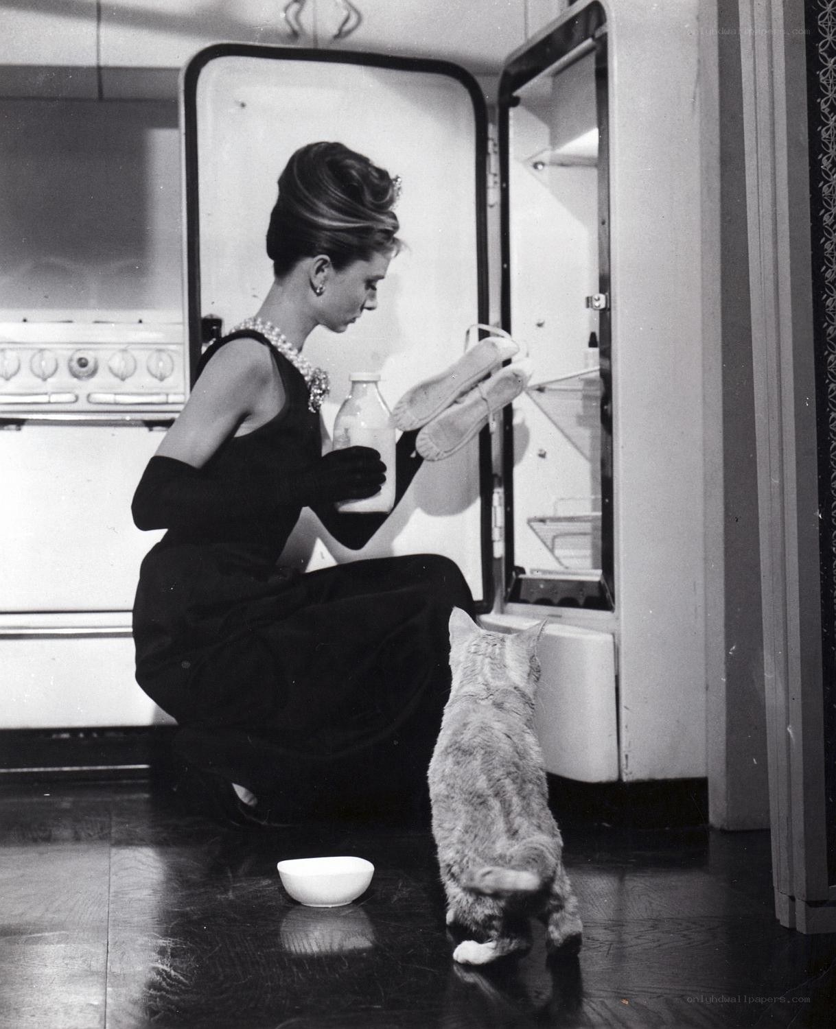 Audrey Hepburn with cat in kitchen