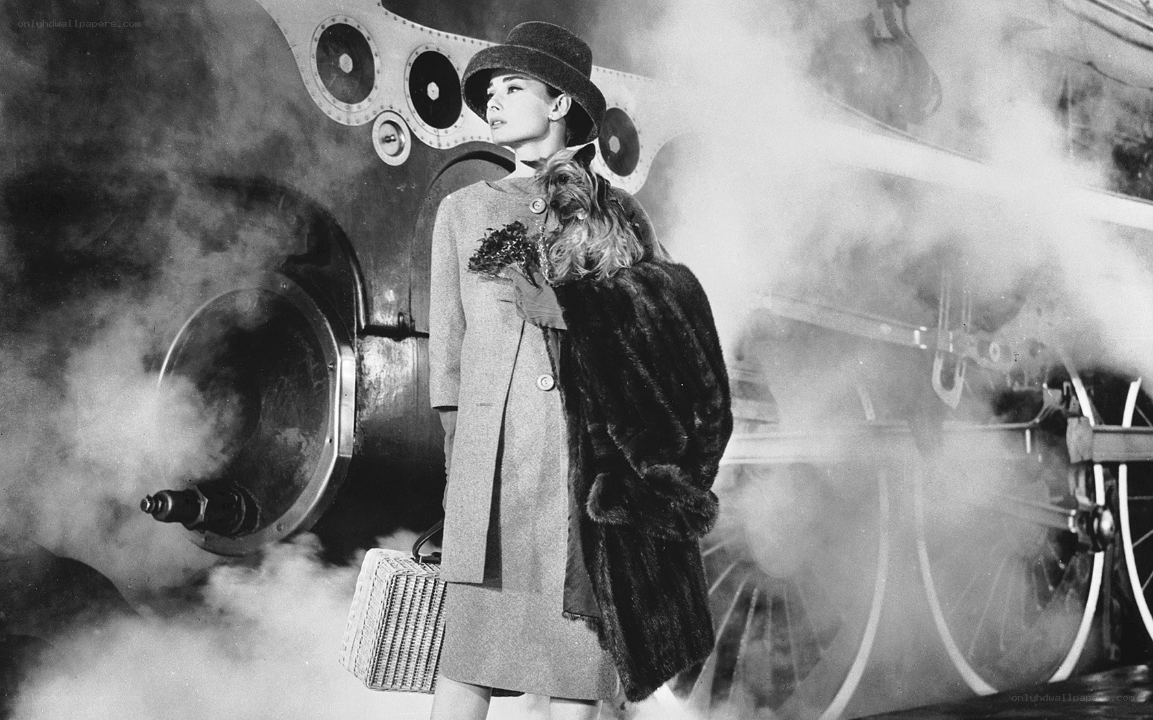 Audrey Hepburn with dog and train