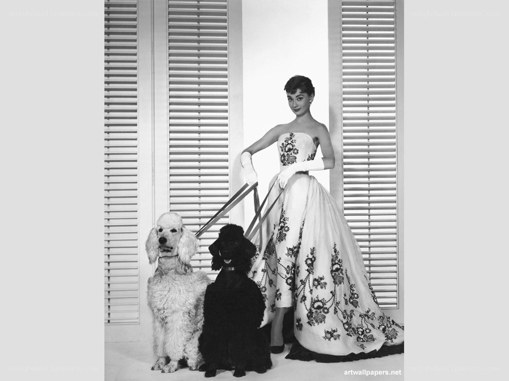 Audrey Hepburn with poodles