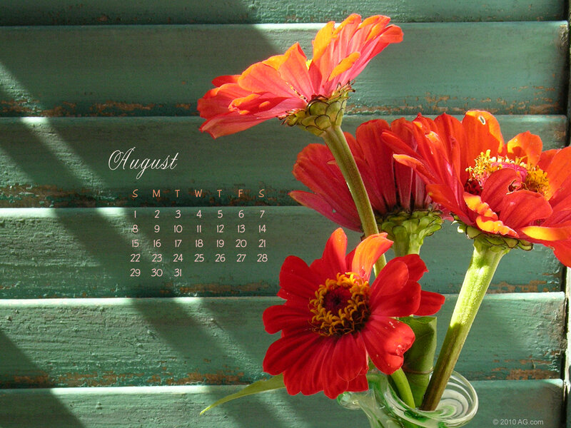 August calendar with zinnias