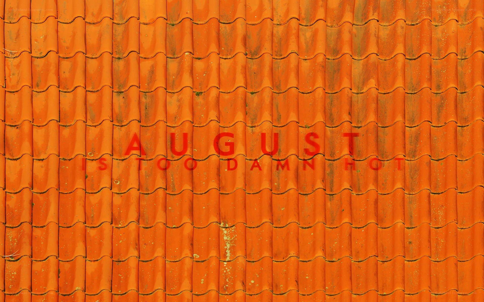 August is too damn hot