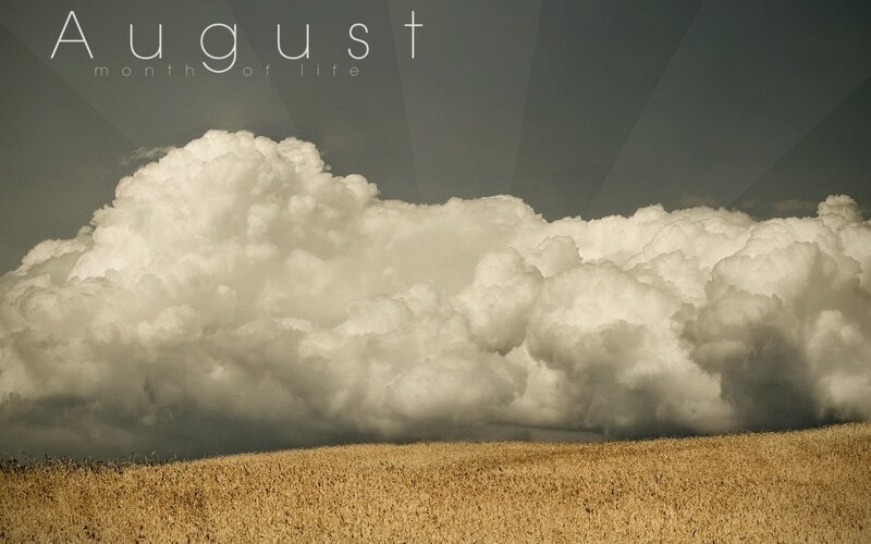 August sky over wheat field