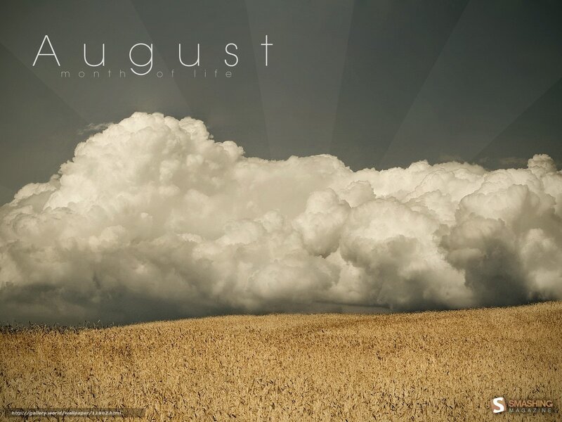 August sky over wheat field