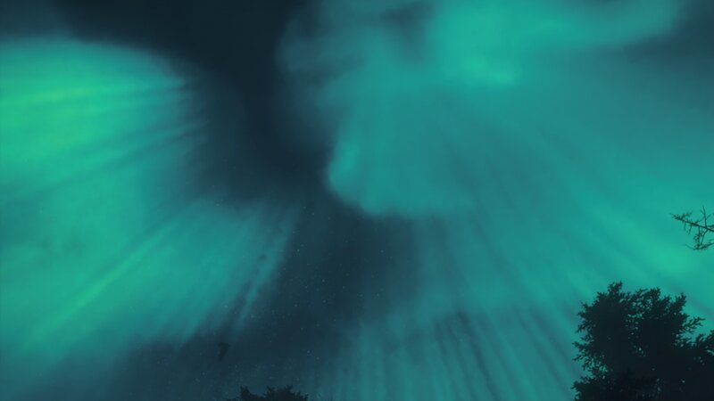 Aurora Borealis Display — Green, Dramatic, Night, Digital Art, Trees
