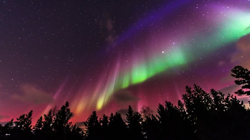 Aurora Borealis Display — Green, Dramatic, Night, Photograph, Stars, Trees