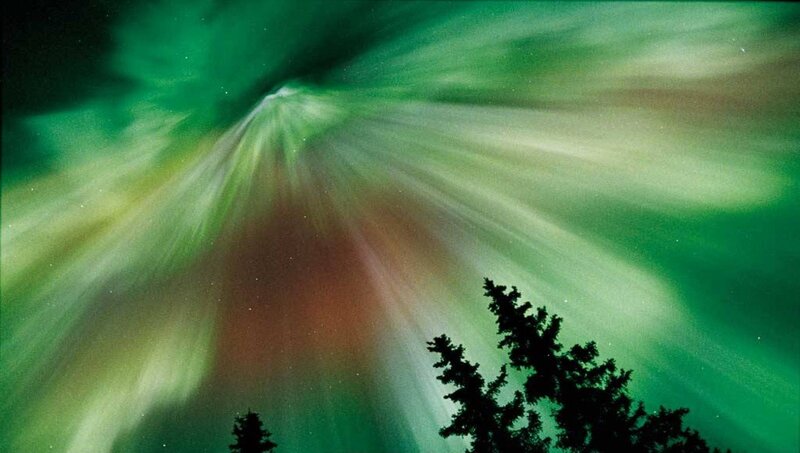 Aurora Borealis Display — Green, Dramatic, Night, Photograph, Trees, Sky