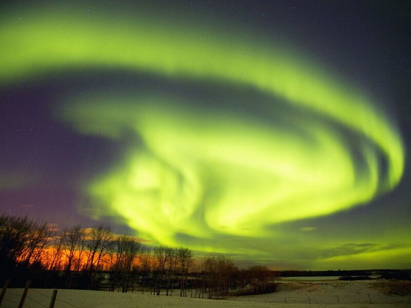 Aurora Borealis Display — Green, Dramatic, Night, Photograph, Trees, Snow, Sky