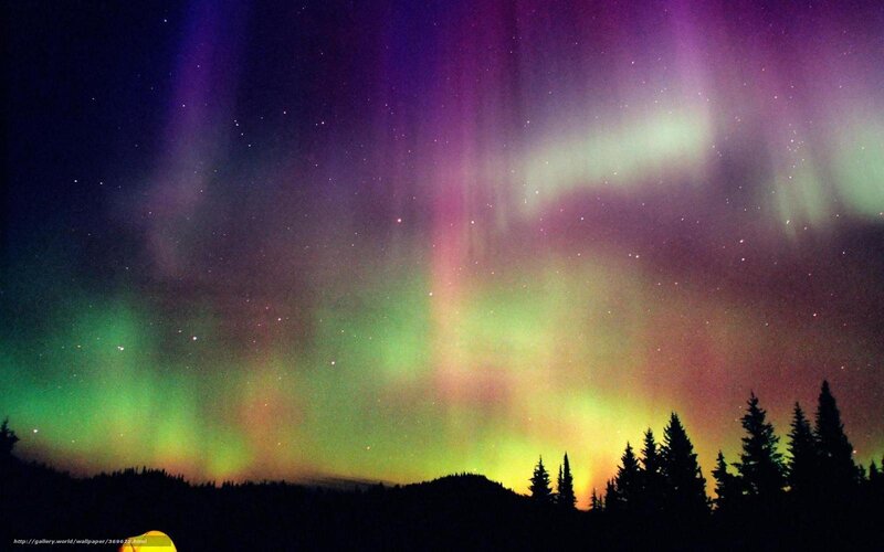 Aurora Borealis Display — Green, Dramatic, Night, Photograph, Trees, Stars