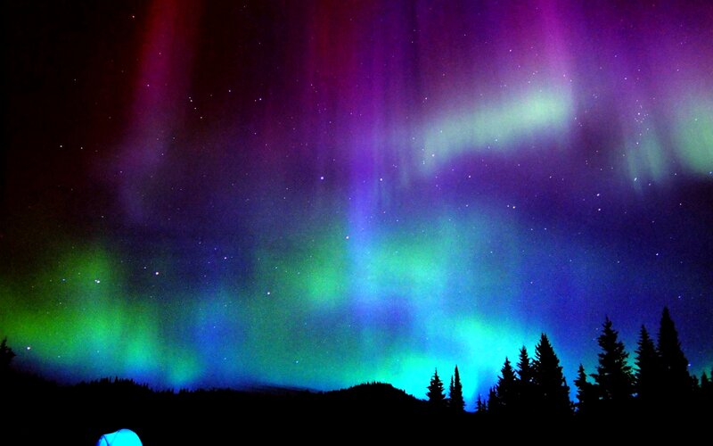 Aurora Borealis Display — Green, Dramatic, Night, Photograph, Trees