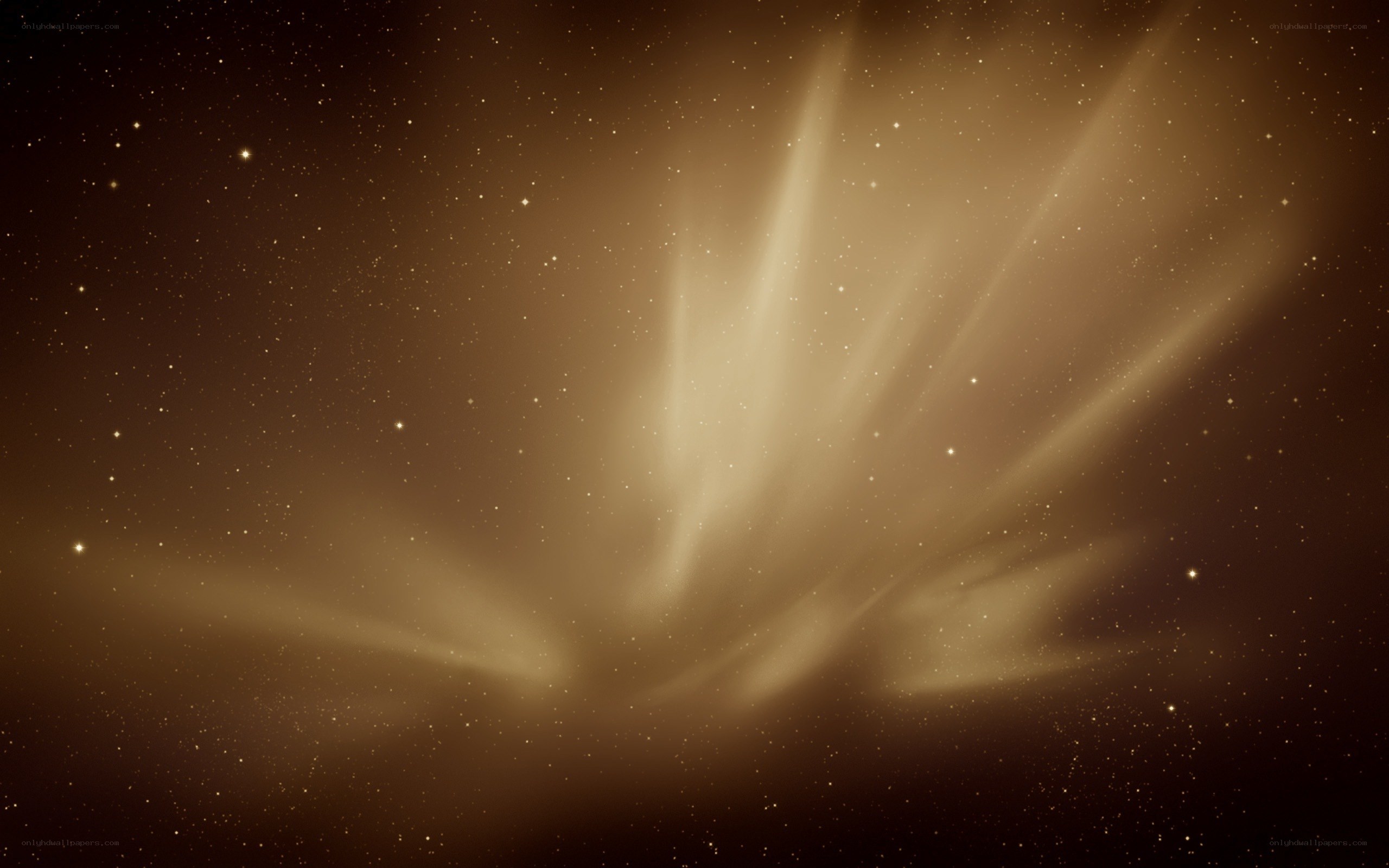 aurora borealis in starry sky