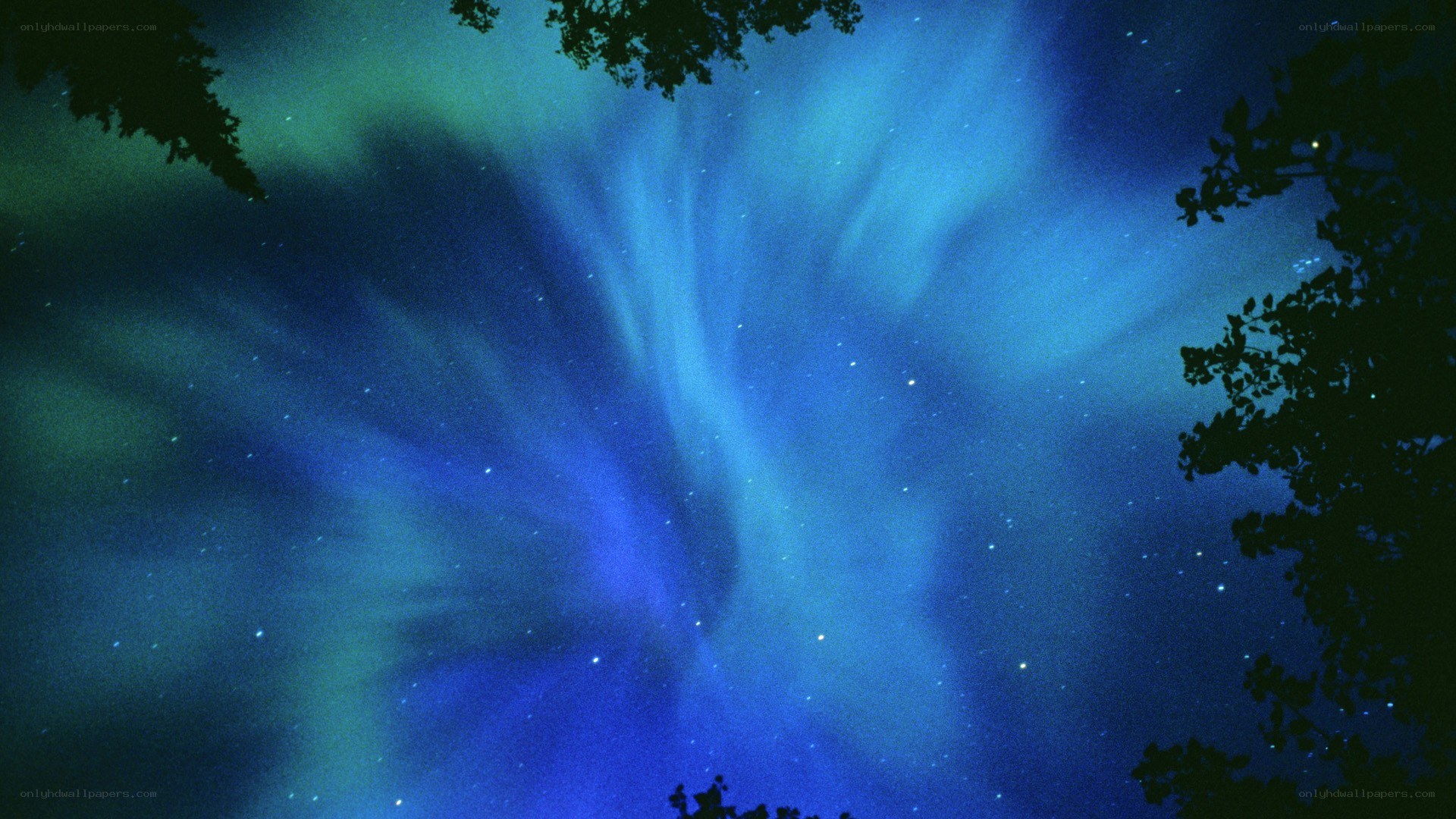 Aurora borealis in the night sky