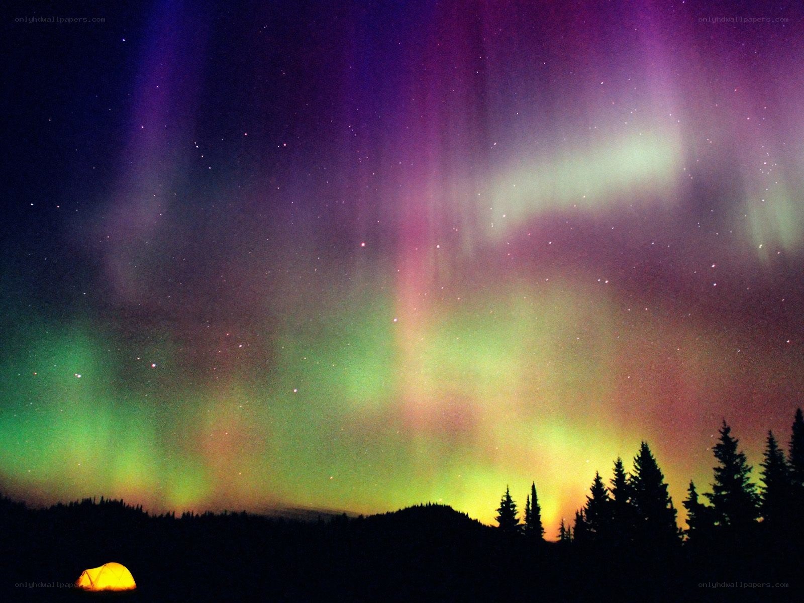 Aurora borealis over a campsite