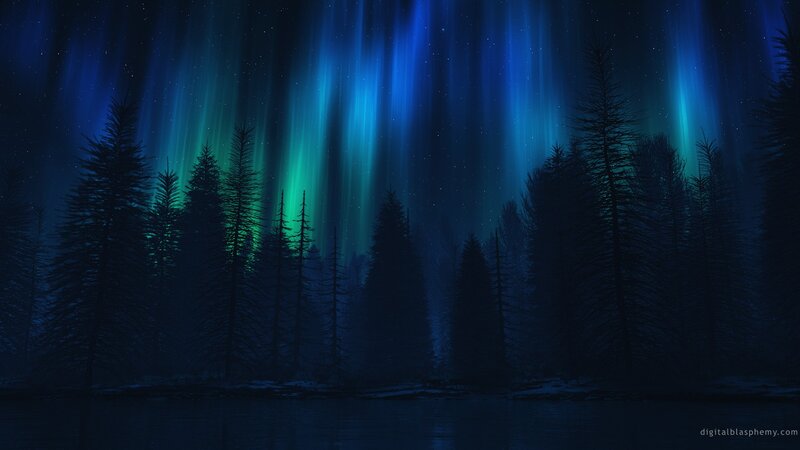 Aurora borealis over a forest
