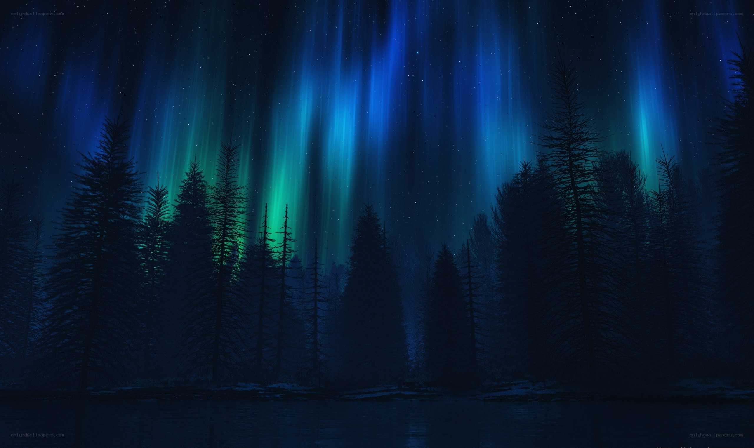 Aurora borealis over a forest