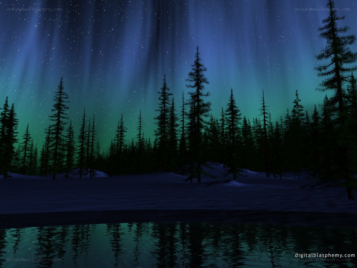 Aurora borealis over a forest