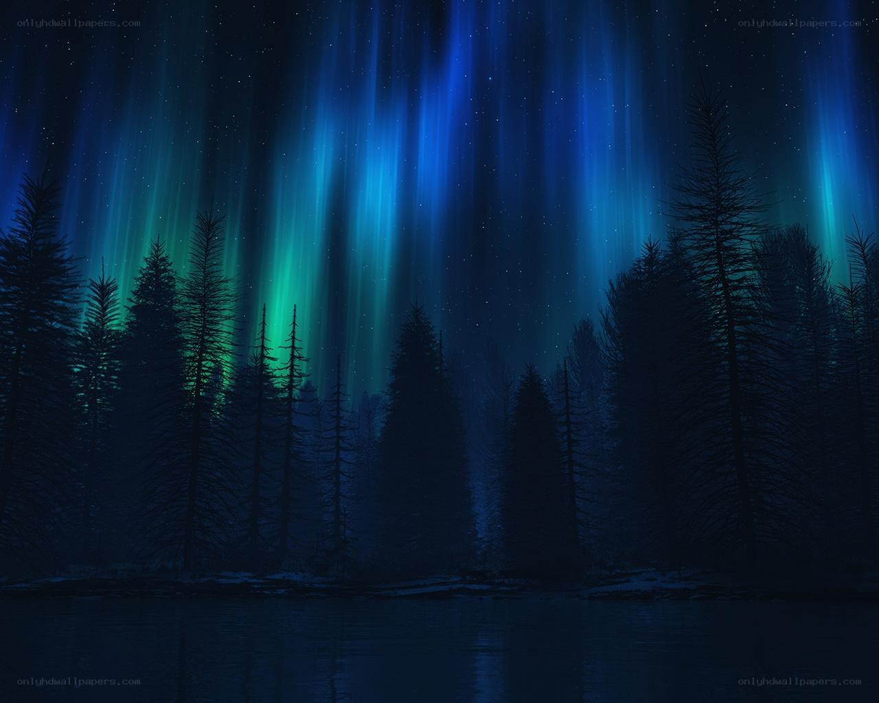 Aurora borealis over a forest lake