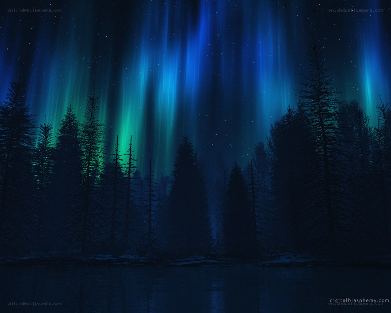 Aurora borealis over a forest lake