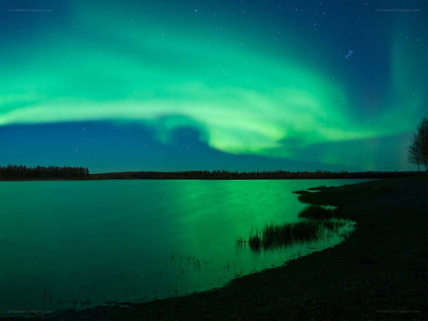 Aurora borealis over a lake