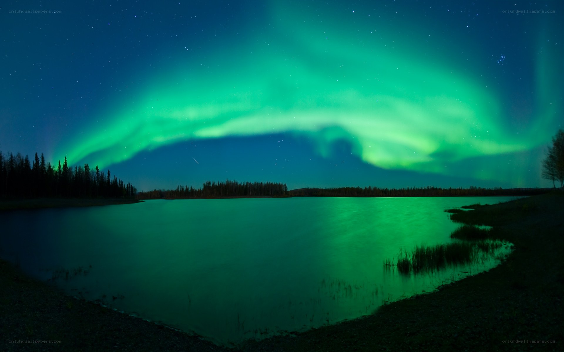 Aurora borealis over a lake