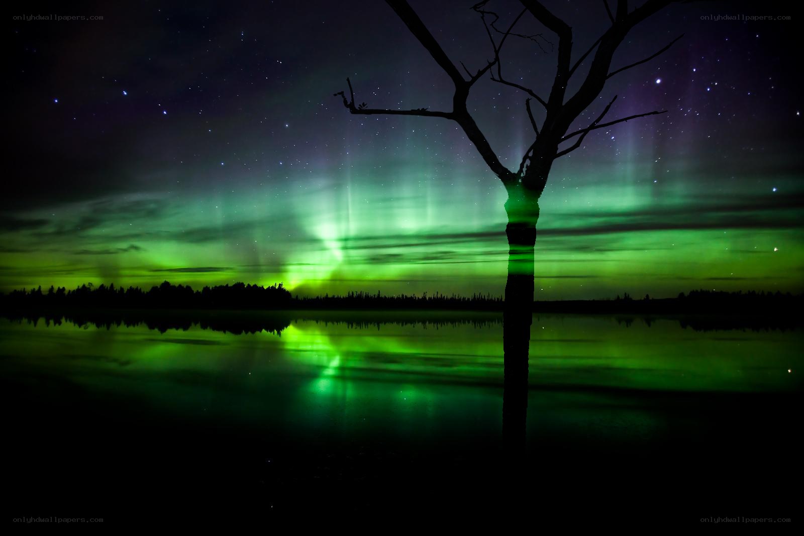Aurora borealis over a lake
