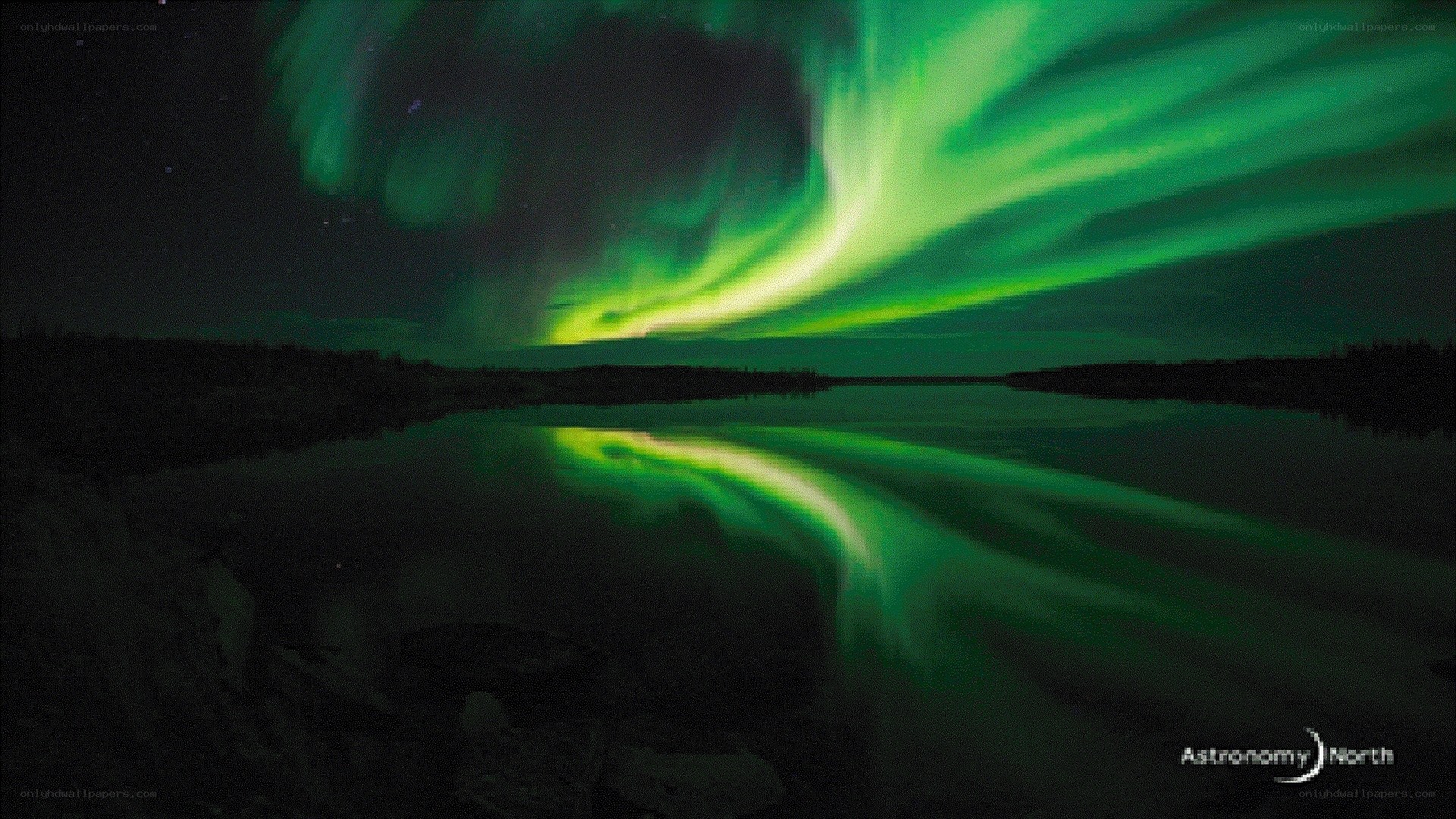 Aurora borealis over a lake