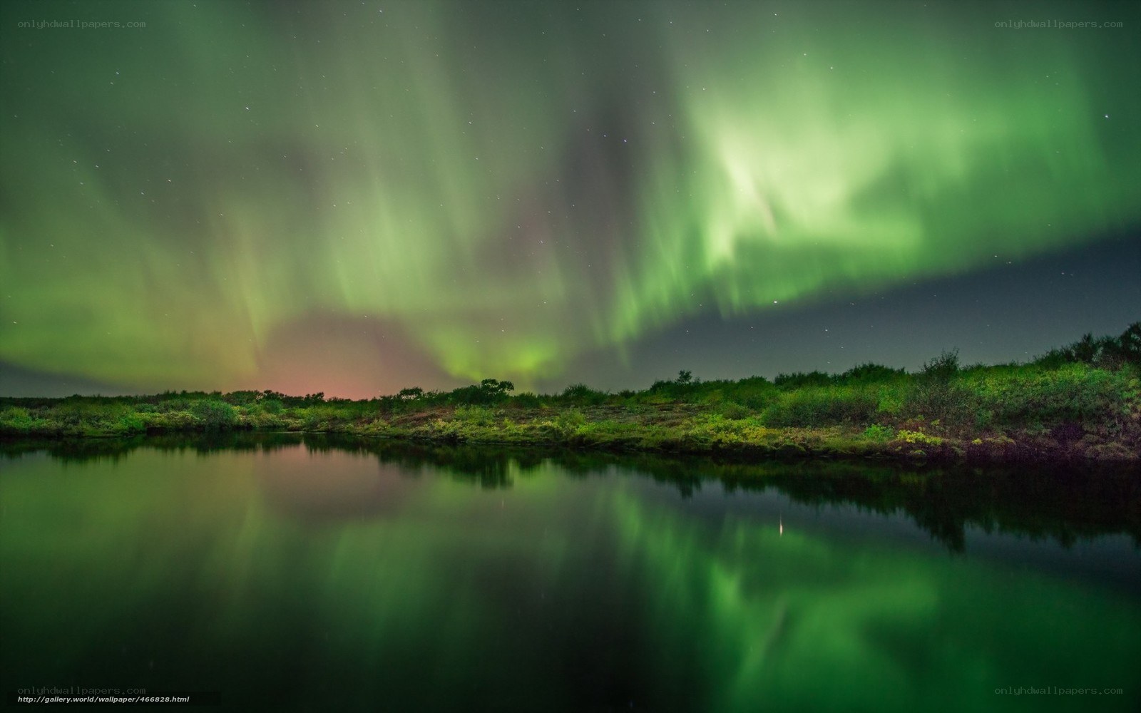 Aurora borealis over a lake