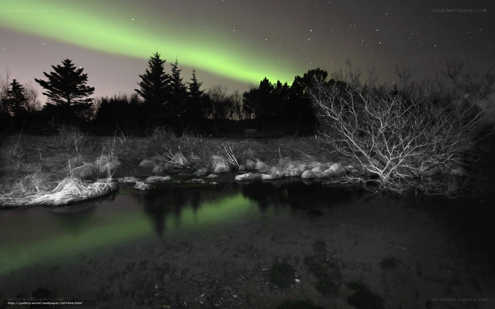 Aurora borealis over a pond