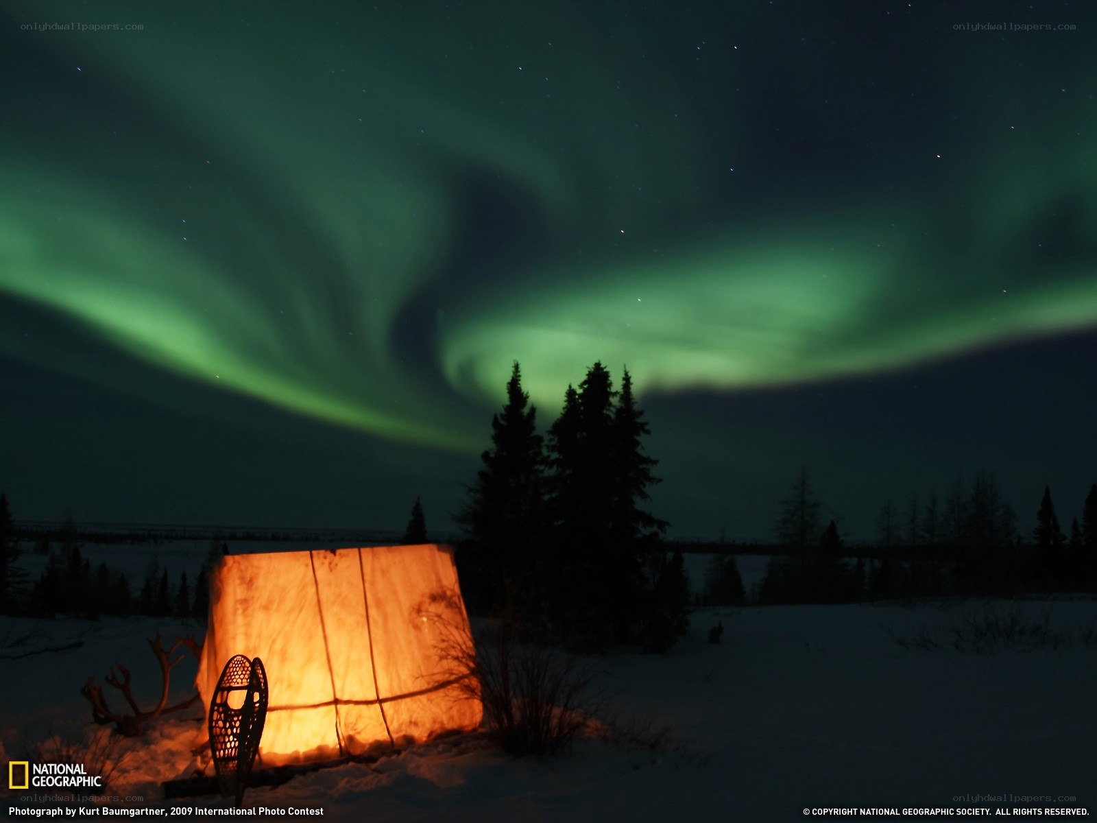 Aurora borealis over a tent