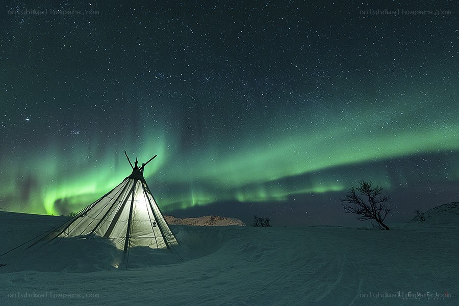 Aurora borealis over a tent