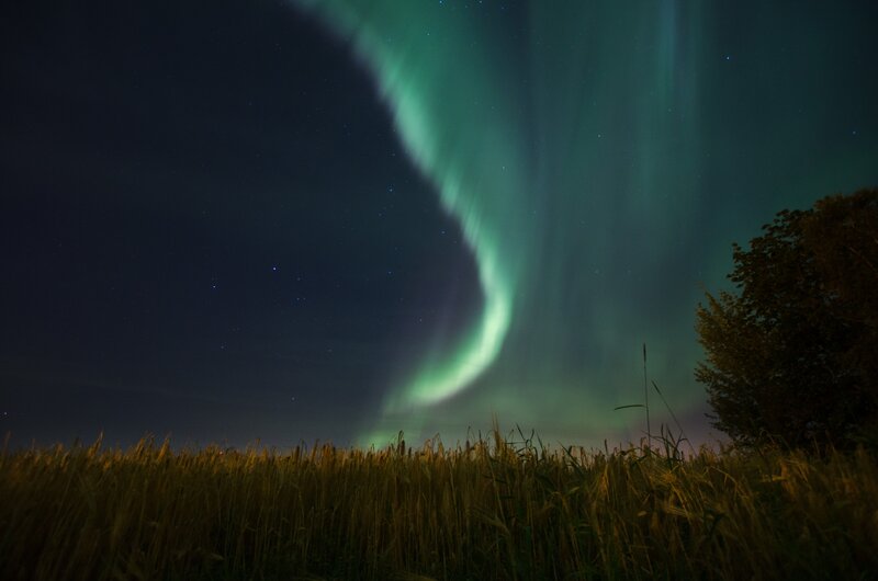 Aurora Borealis over Field — Green
