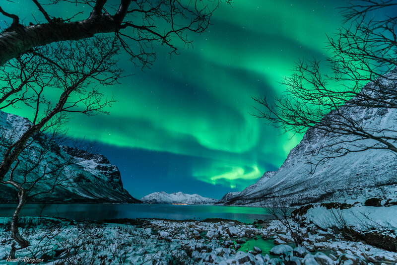 Aurora Borealis over Fjord — Green, Dramatic, Night