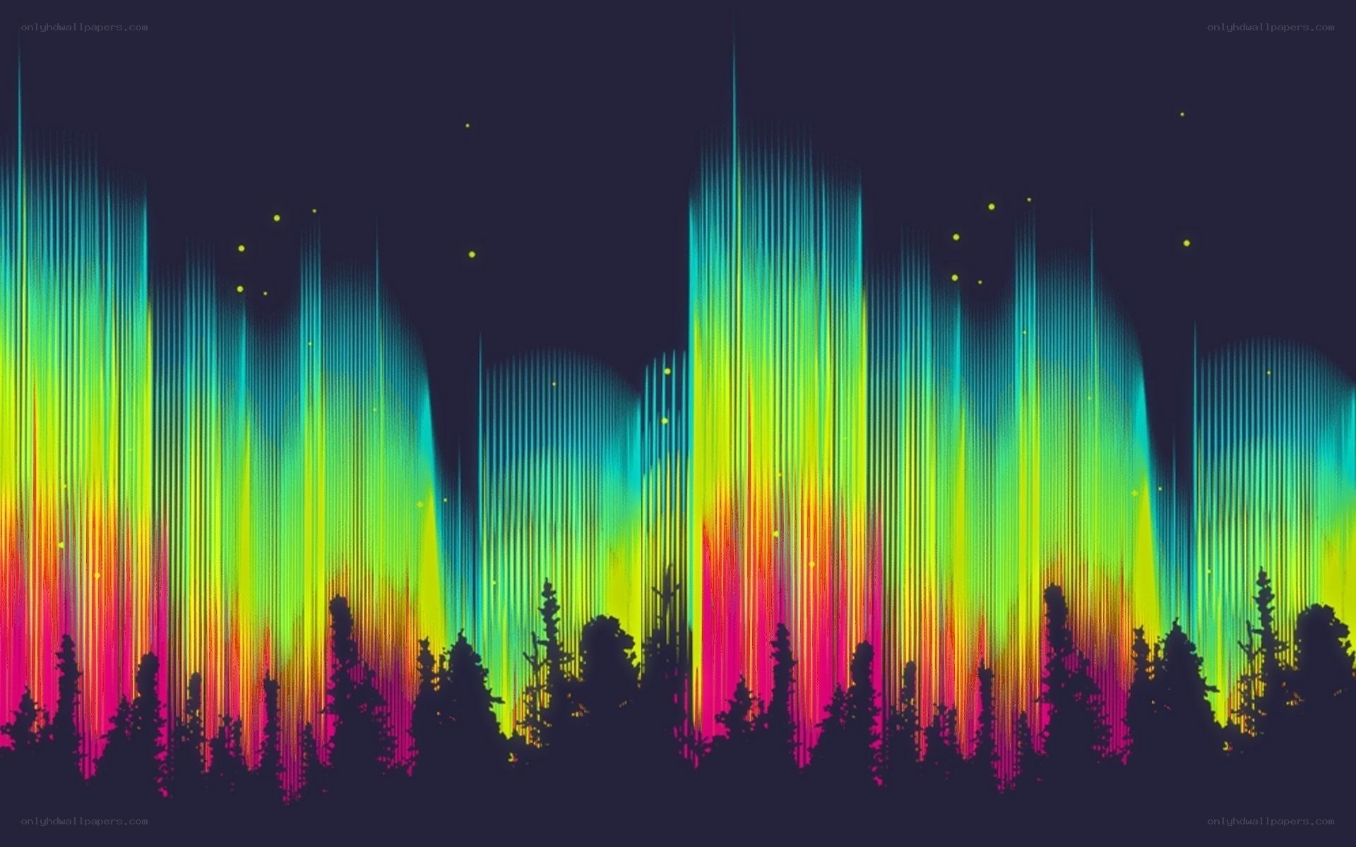 aurora borealis over forest