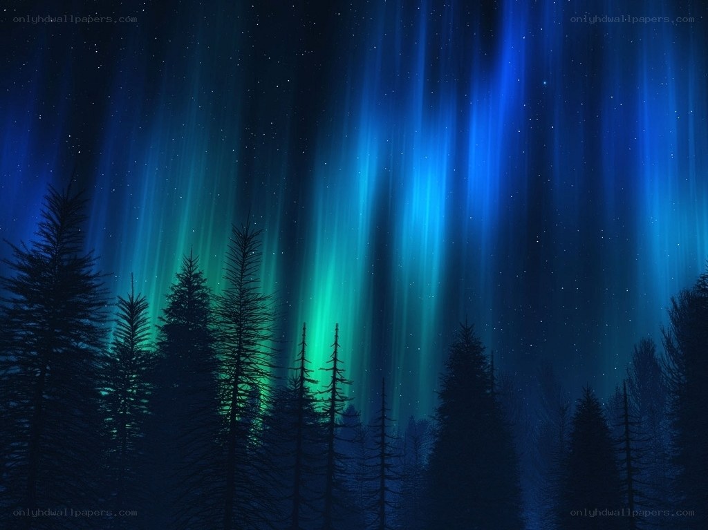 Aurora borealis over forest