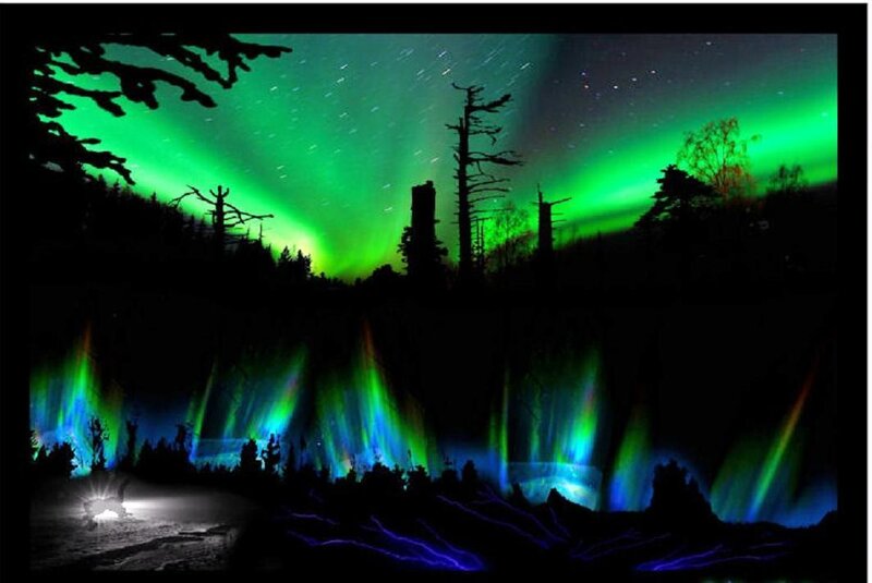 Aurora borealis over forest