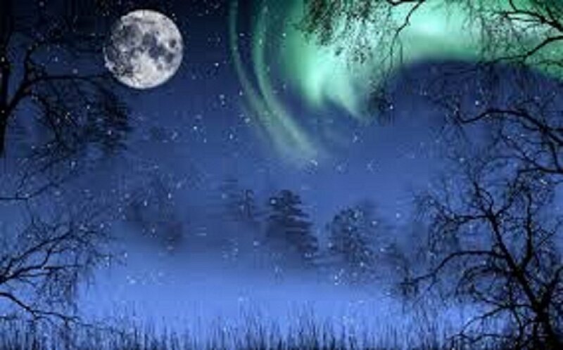 Aurora Borealis over Forest — Blue, Serene, Night, Digital Art, Moon