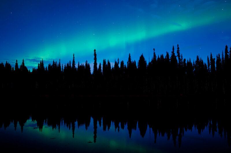 Aurora Borealis over Forest — Blue, Serene, Night, Photograph