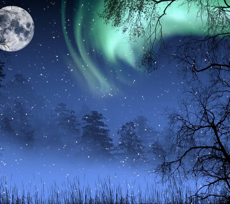 Aurora Borealis over Forest — Blue, Serene, Night