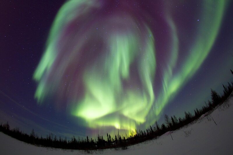 Aurora Borealis over Forest — Green, Dramatic, Night, Photograph, Snow
