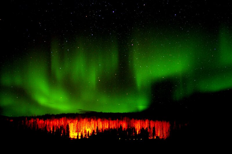 Aurora Borealis over Forest — Green, Dramatic, Night, Photograph, Stars